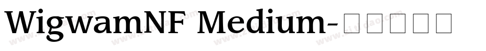WigwamNF Medium字体转换